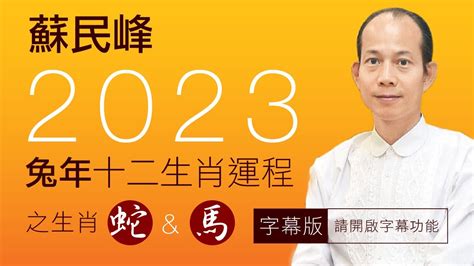 蘇民峰2023 pdf|【完整解説】 蘇民峰 2023年生肖運程 【字幕】